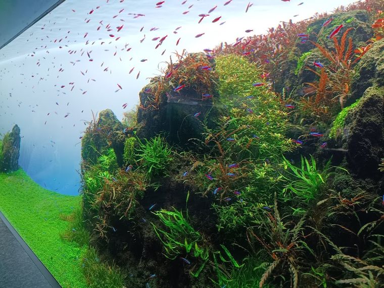 Sumida Aquarium