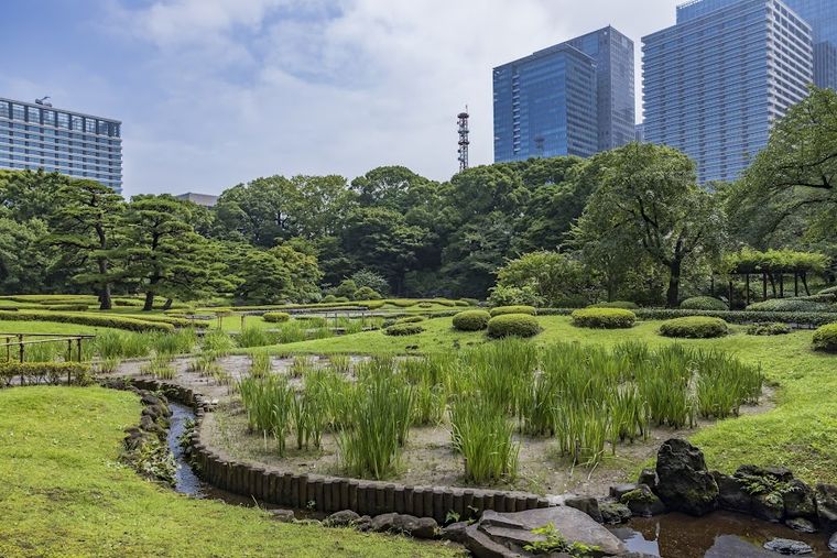 Ninomaru Garden
