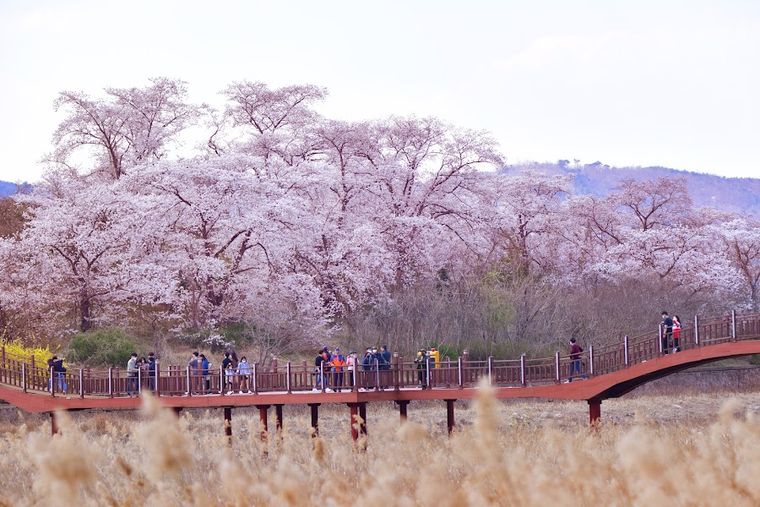 Bomunho Lake Tourism Complex