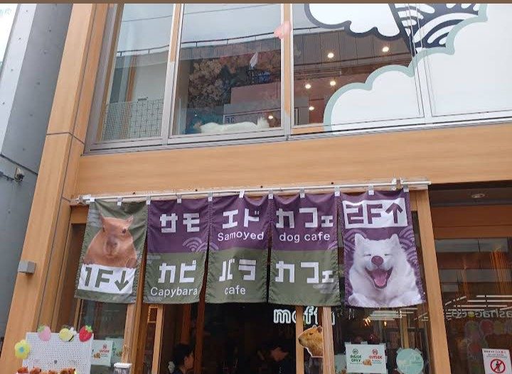 capybaraonsen moffu tokyo