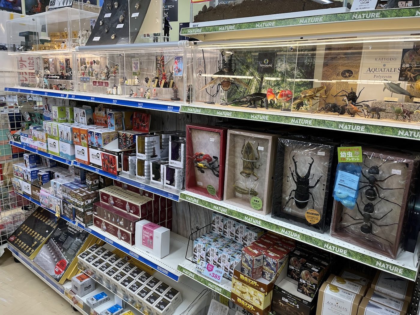 Kaiyodo Hobby Lobby Tokyo store