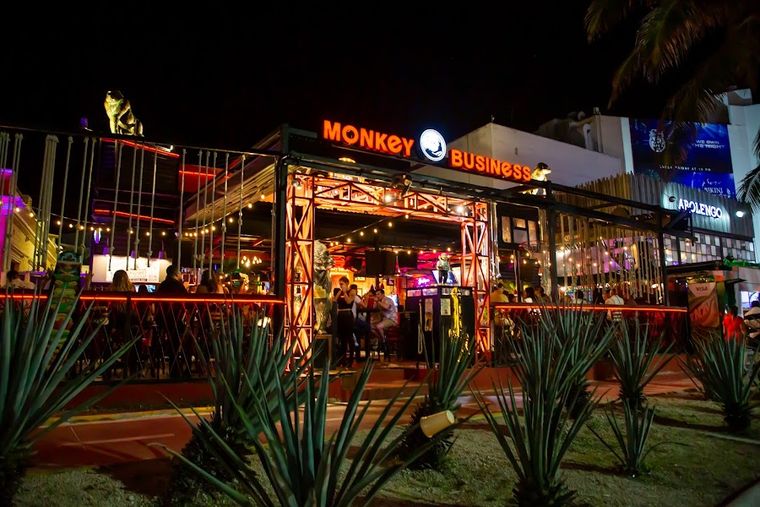 Monkey Business Cancún