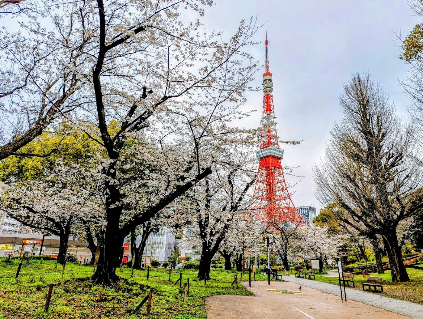 Shiba Park