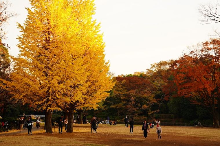 Kita-no-maru Park