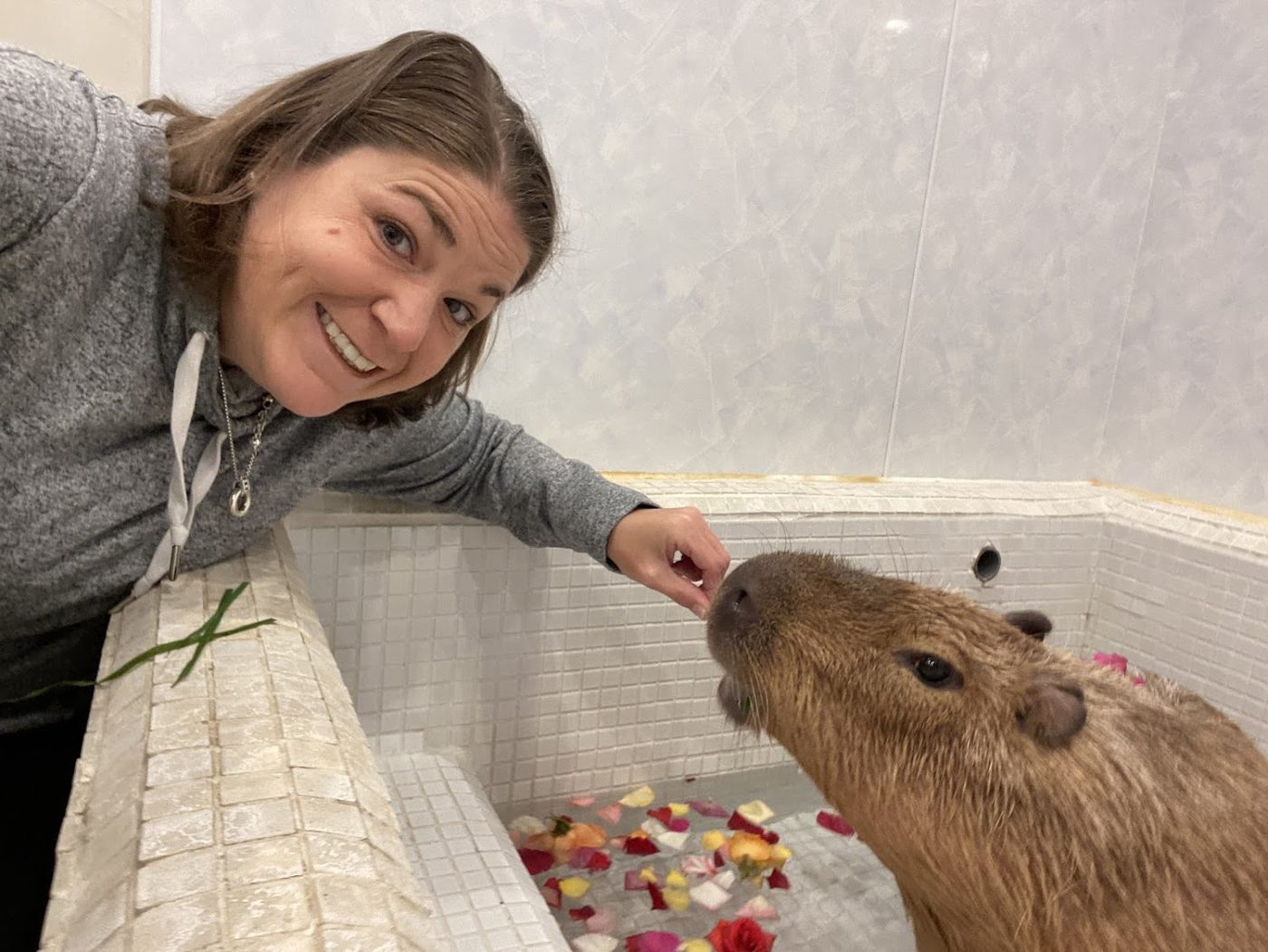 Capy Village - Capybara Cafe
