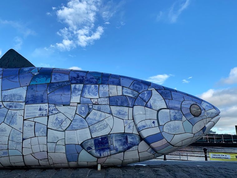 The Salmon of Knowledge