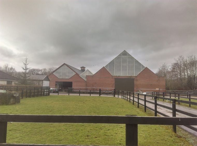 Killarney Riding Stables