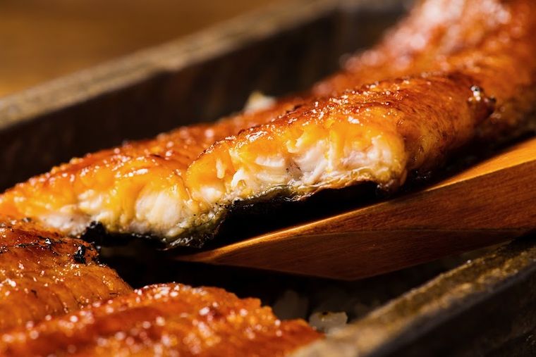 Unagi 4th Yondaime Kikukawa Tokyo Station Kurobei Yokocho Branch