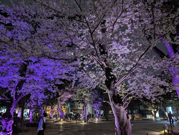 Nakano Central Park
