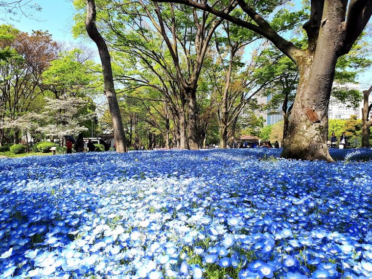 Hibiya Park
