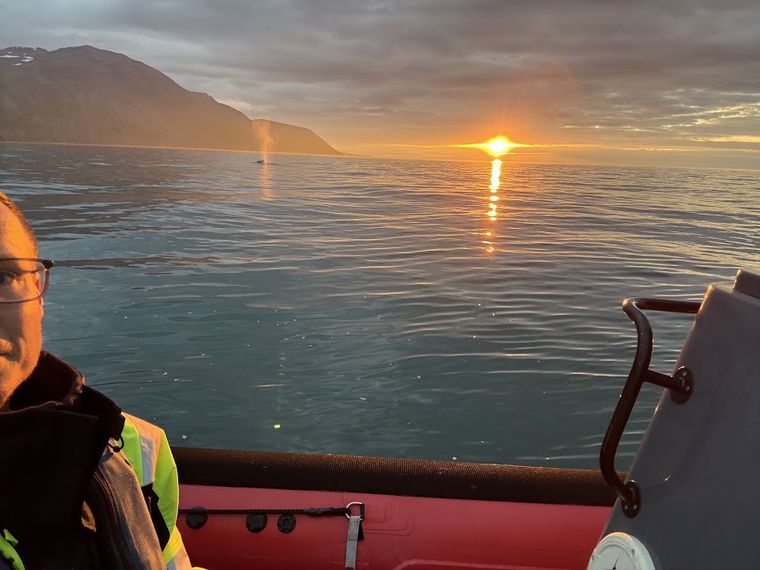 Husavik Adventures