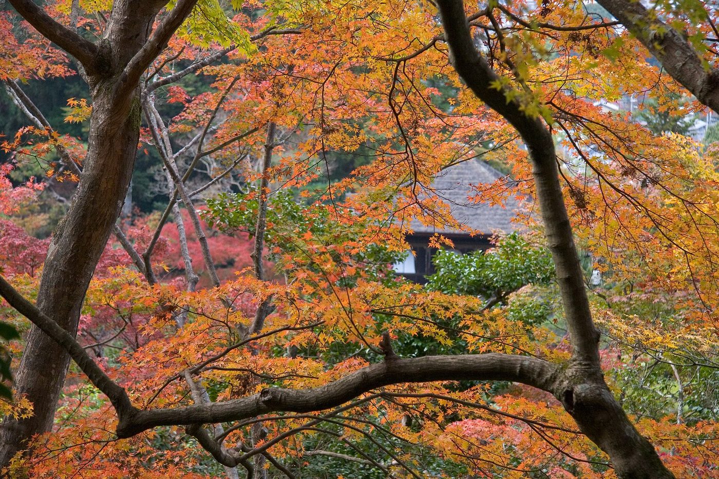 Ginkaku-ji Silver Pavilion