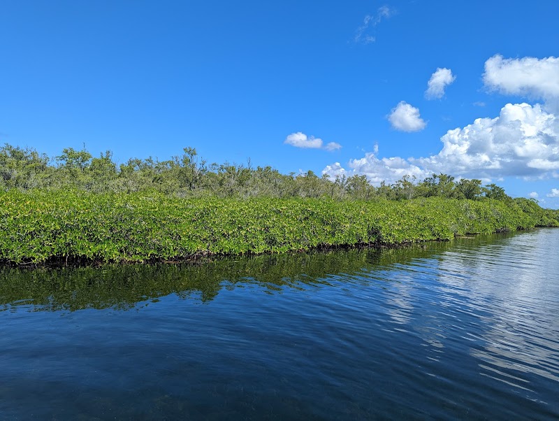 Glass Bottom Boat Tour