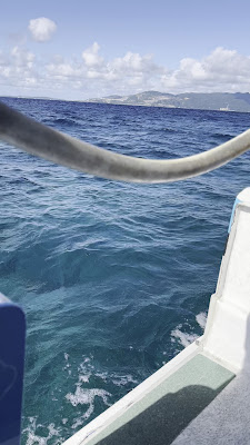 Glass-Bottom Boat Nago