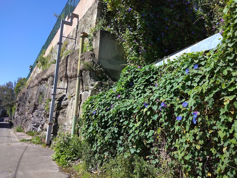 Glebe
