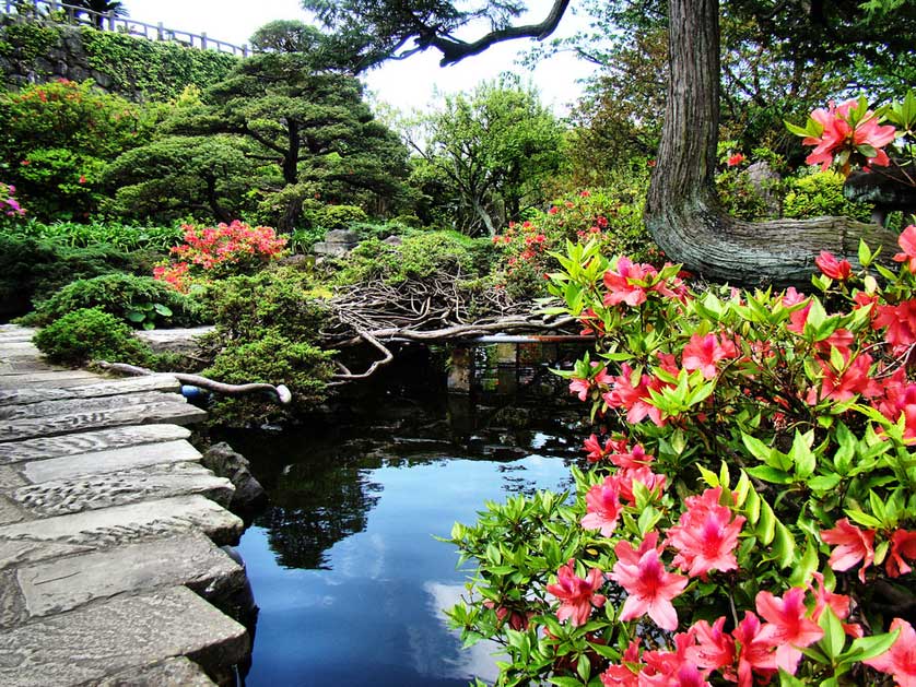 Glover Garden