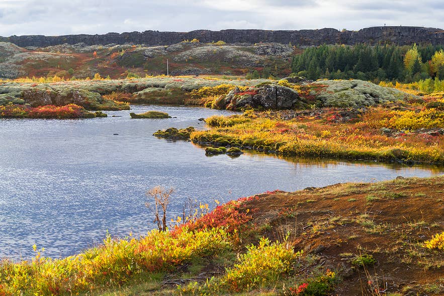 Golden Hour Drive (Reykjanes Peninsula)