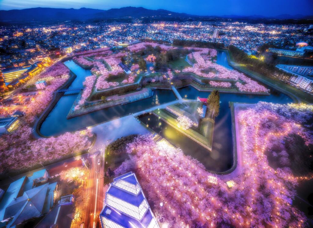 Goryokaku Sakura Night Illumination