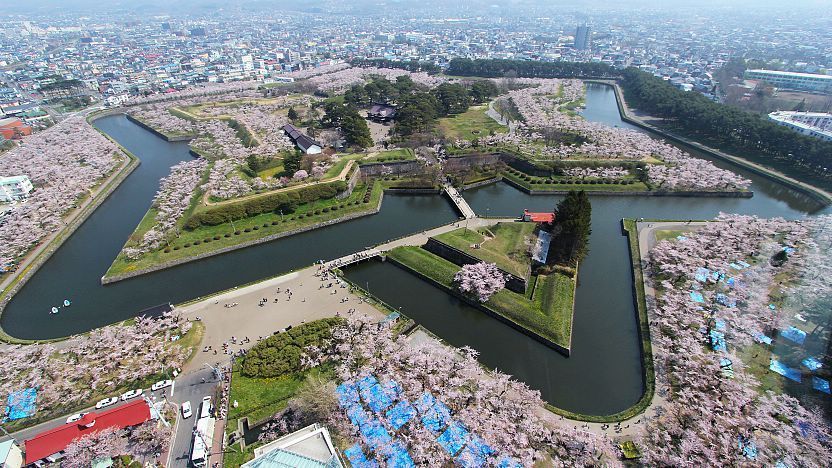 Goryokaku Tower