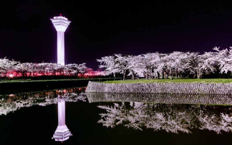 Goryokaku Tower