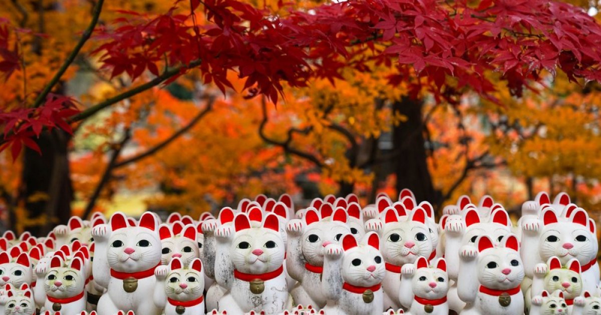 Gotokuji Temple