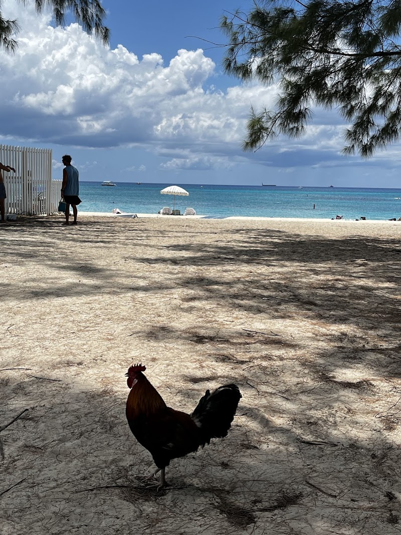 Governor's Beach