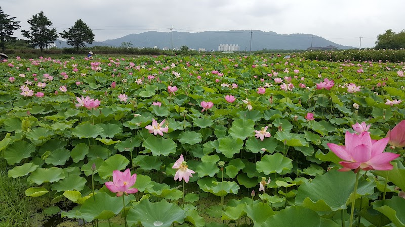 Gyeongju (Ancient Capital)