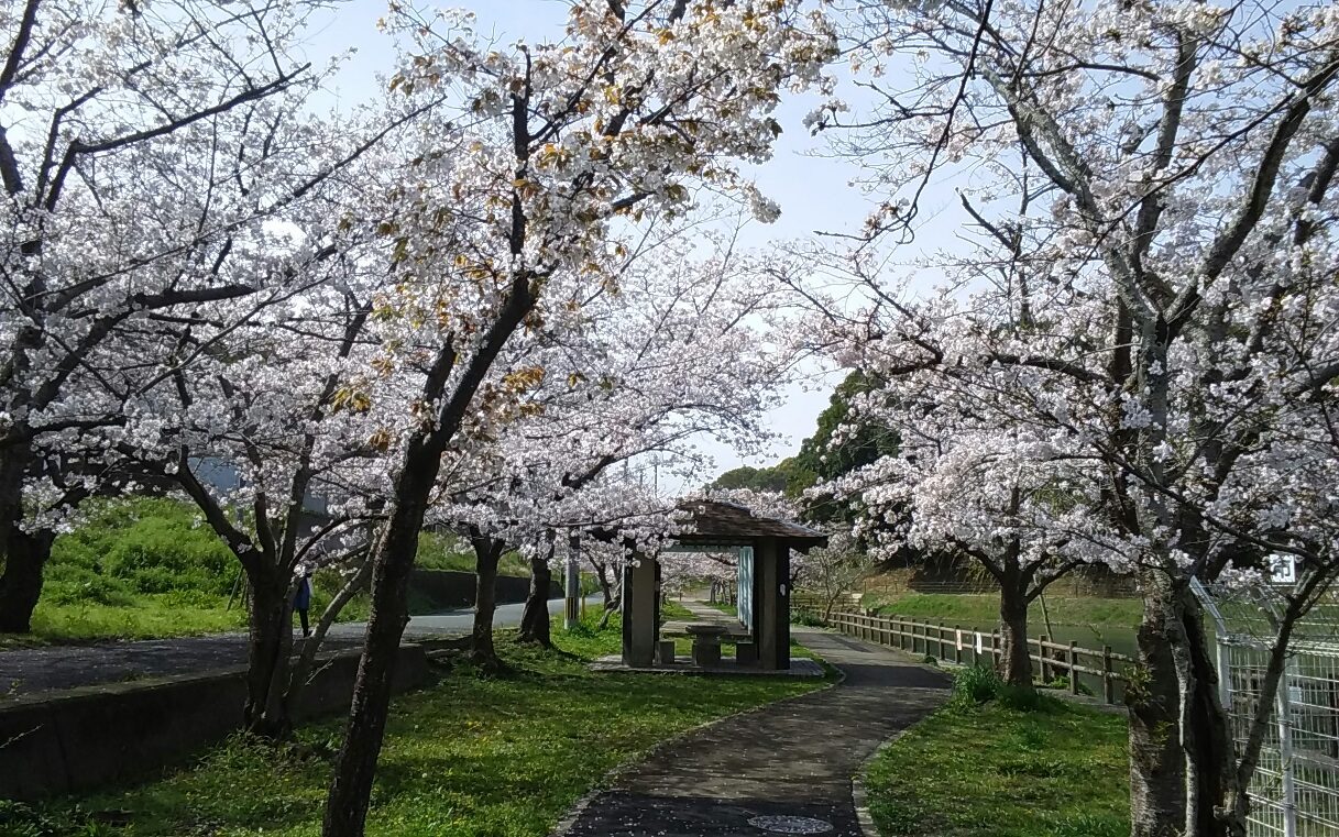 Habu Park