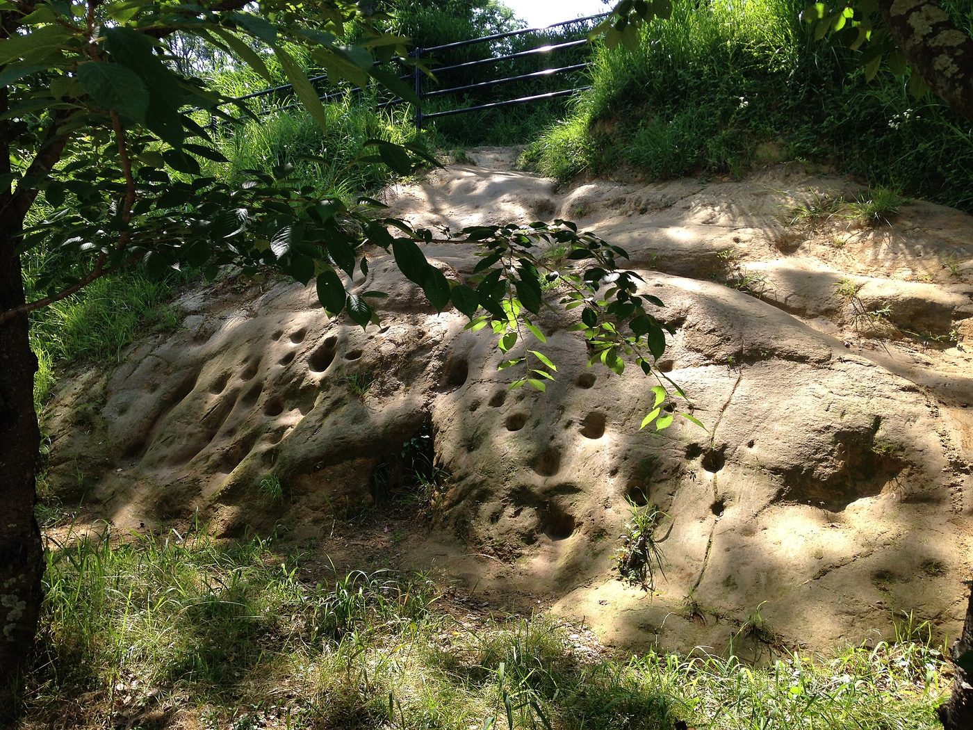 Habu Park