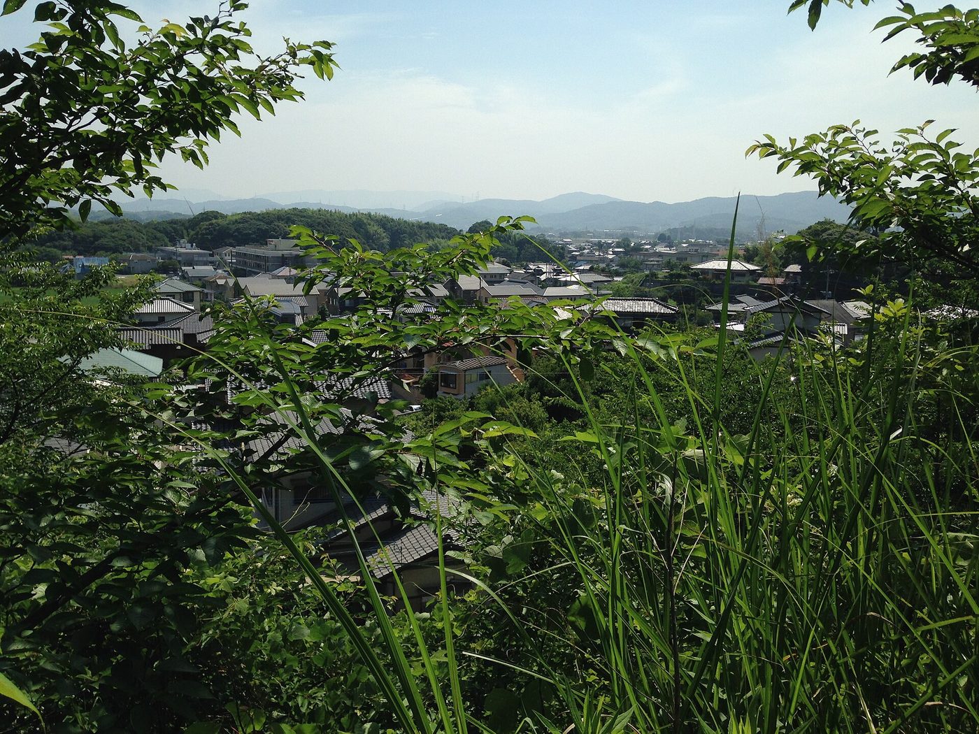 Habu Park
