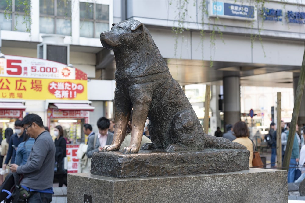 Hachiko Statue