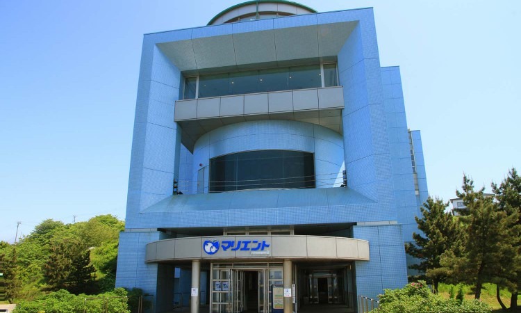 Hachinohe Emburi Museum