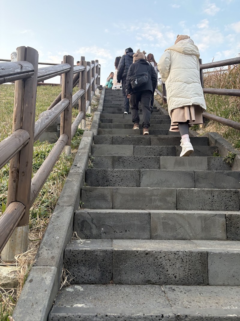 Haenyeo (Women Diver) Seafood