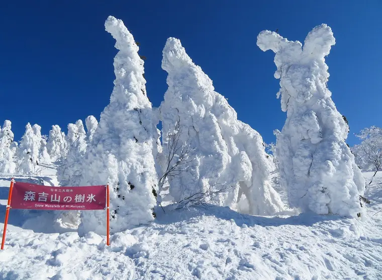 Hakkoda Snow Monster Trekking