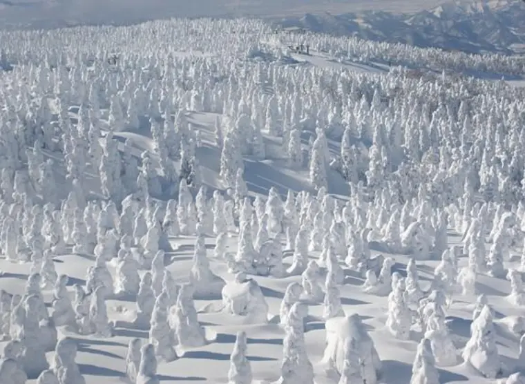 Hakkoda Snow Monster Trekking