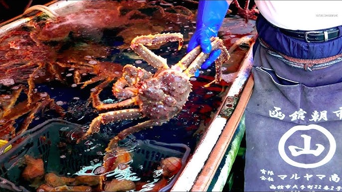 Hakodate Crab Market