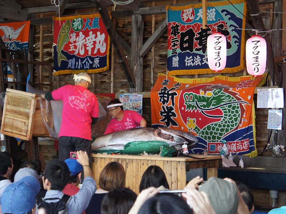 Hakodate Fish Market Tuna Auction