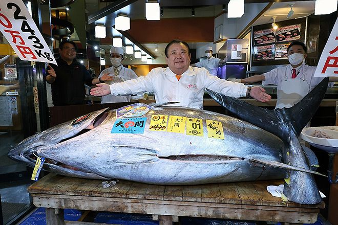 Hakodate Fish Market Tuna Auction
