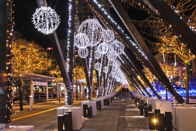 Hakodate Illumination (Winter)