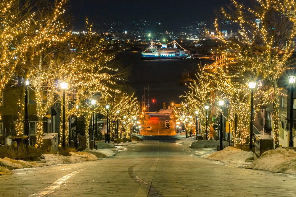 Hakodate Illumination (Winter)
