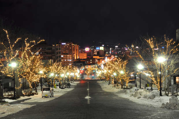 Hakodate Illumination (Winter)