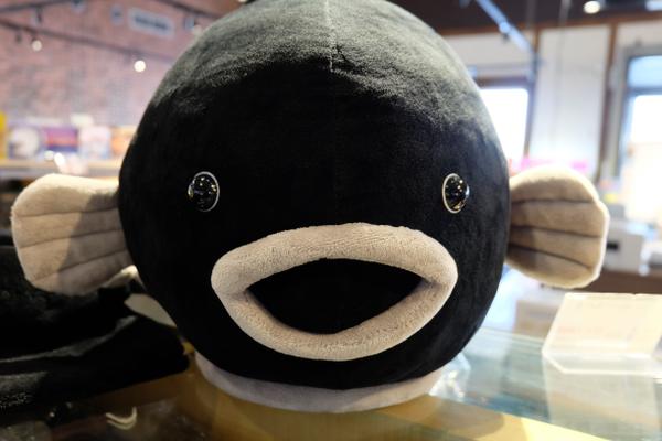 Hakodate Scallop Fishing Experience
