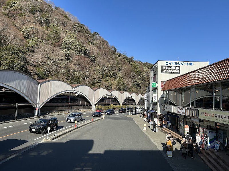 Hakone Freepass Loop