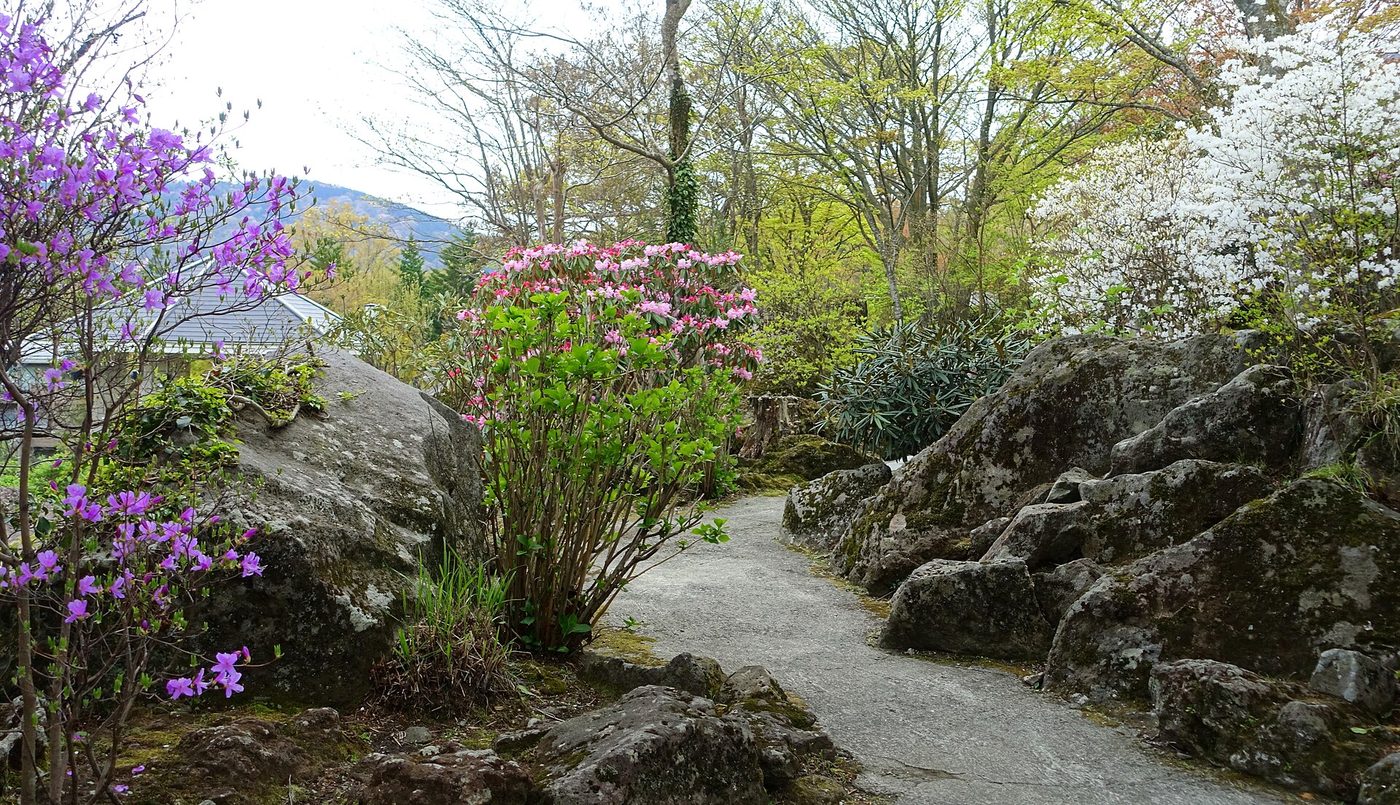 Hakone Gora Park