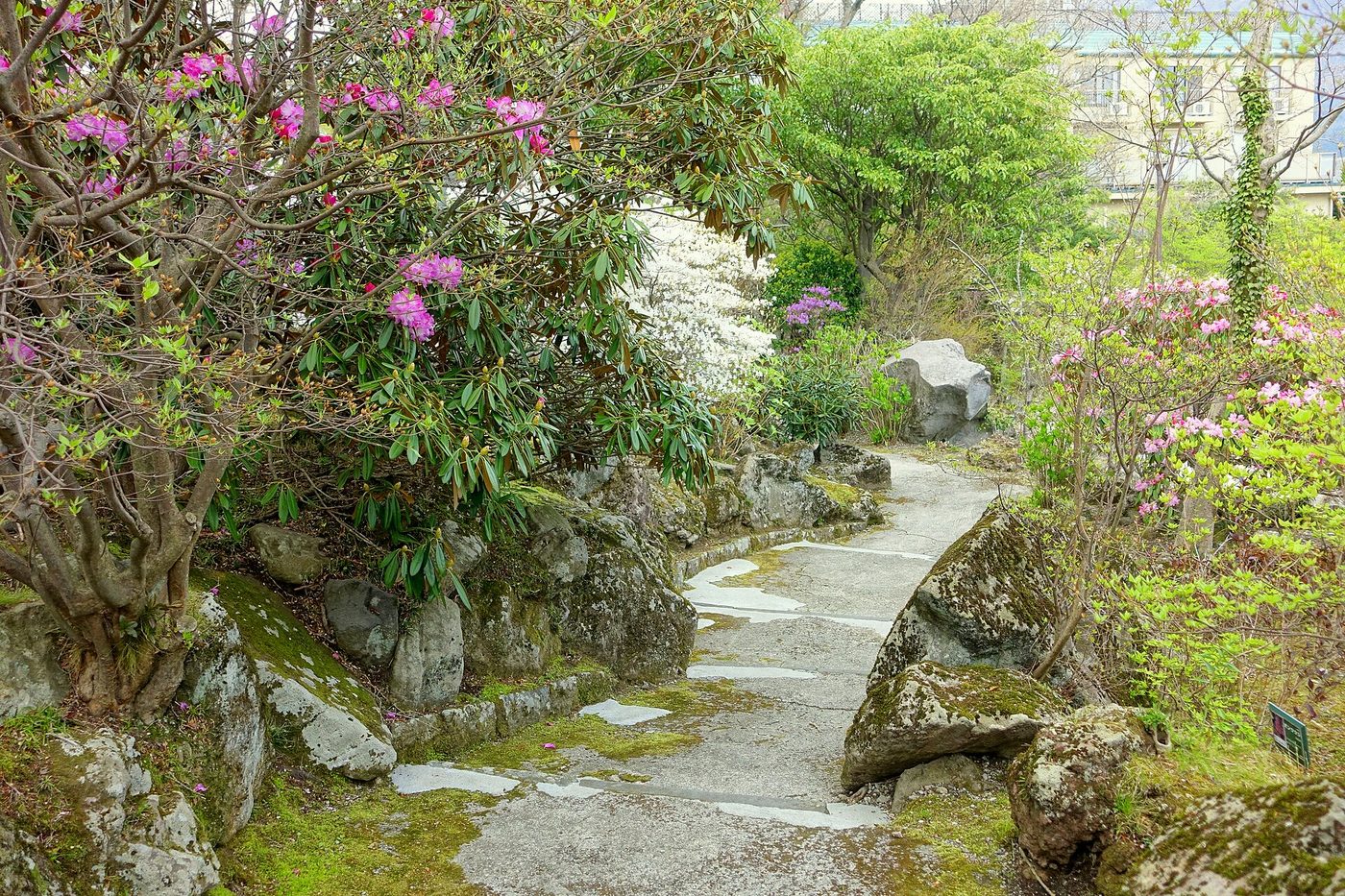 Hakone Gora Park