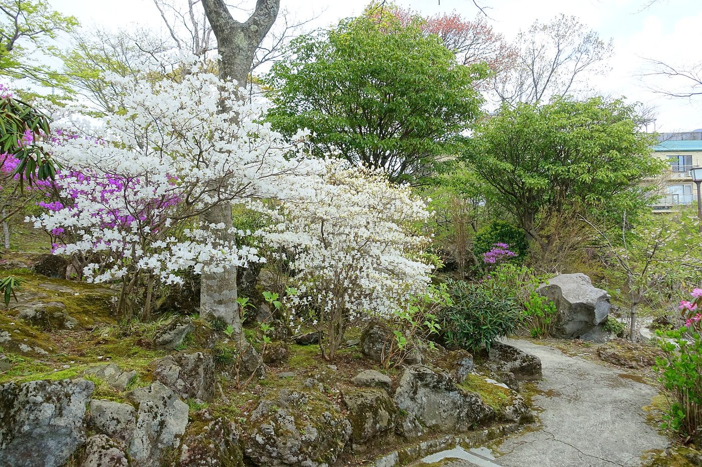 Hakone Gora Park