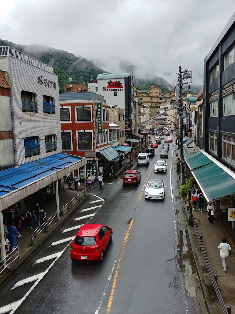 Hakone-Yumoto Hot Springs