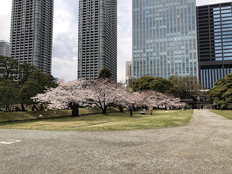 Hama-rikyu Gardens