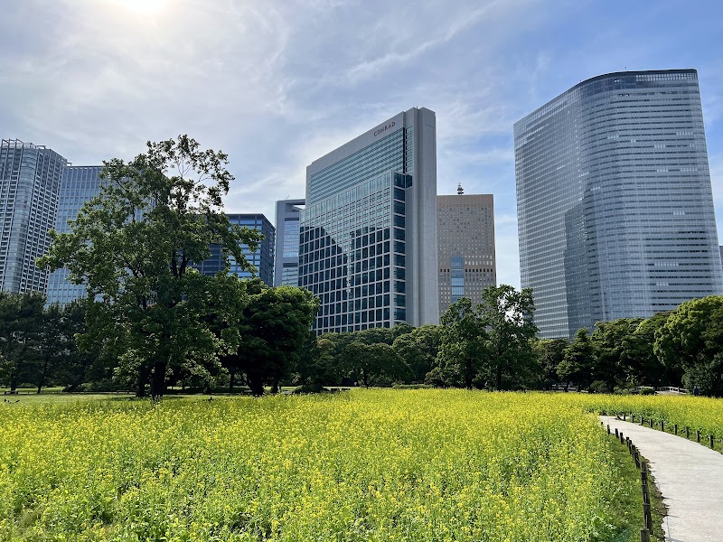 Hama-rikyu Gardens