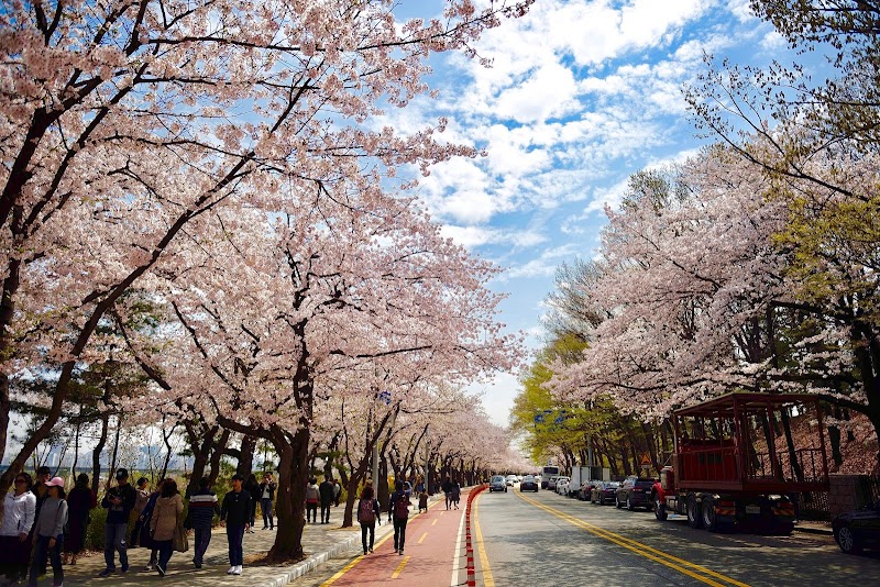 Hangang River Parks